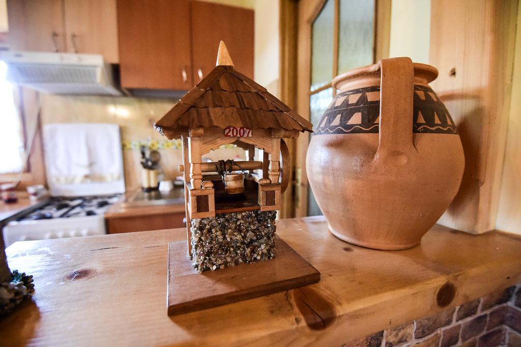 Отель Casa Chira Вишеу-де-Сус Экстерьер фото